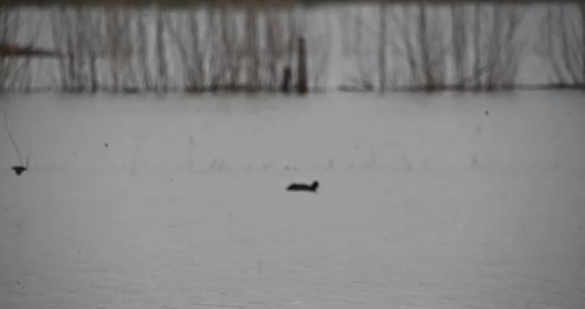 Son yılların enf azla yağış alan illerinden Yozgat'ta, doluluk oranı