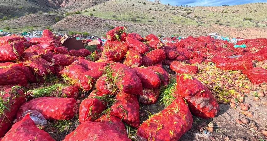 Yozgat’ta en fazla soğan, patates üretiminin yapıldığı Kümbet Ova bölgesinde