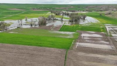 Meteorolojik verilere göre uzun yıllar ortalamasının üzerine çıkan yağışlar Yozgat’ta
