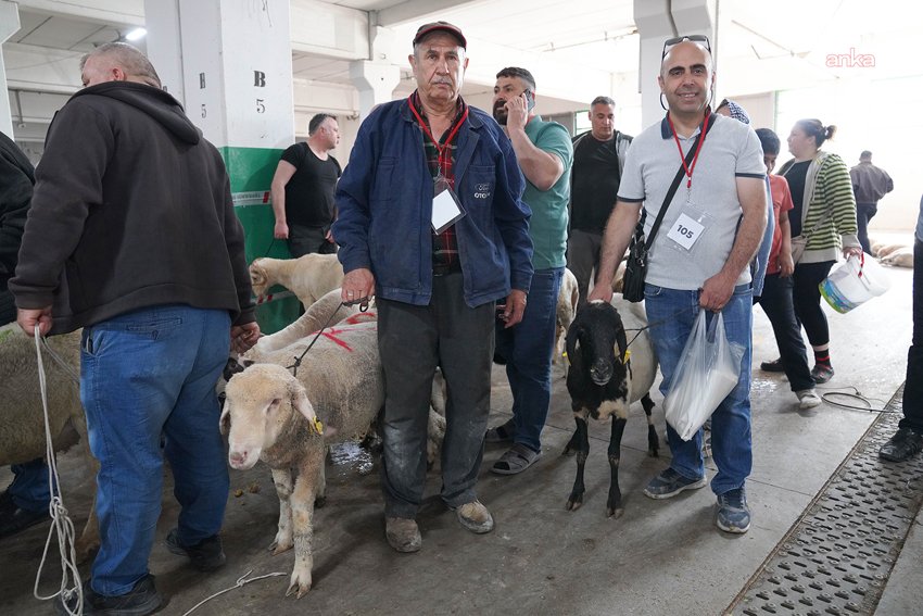 Tepebaşı Belediyesi’nin Kurban Bayramı için hazırladığı kurban kesim alanı, vatandaşların