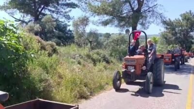 Danıştay 6. Dairesi, Muğla’nın Milas ilçesindeki Akbelen Ormanı çevresinde bulunan 679