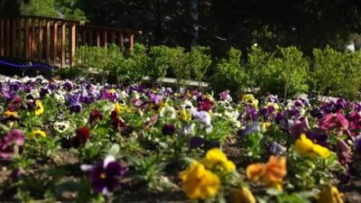 Burdur Belediye Başkanı Ali Orkun Ercengiz, Burdur Belediyeler Birliği tarafından