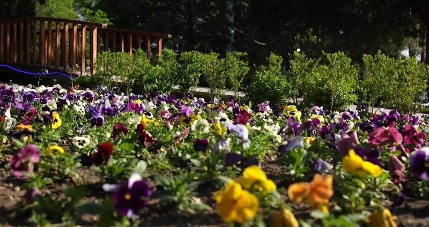 Burdur Belediye Başkanı Ali Orkun Ercengiz, Burdur Belediyeler Birliği tarafından
