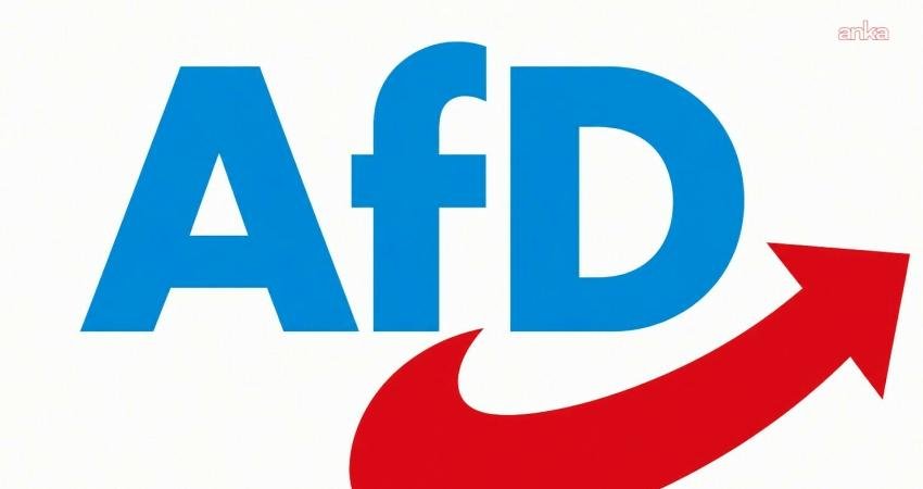 Almanya'nın Brandenburg eyaletine bağlı Zehdenick kentinde yapılan belediye başkanlığı seçimlerini,