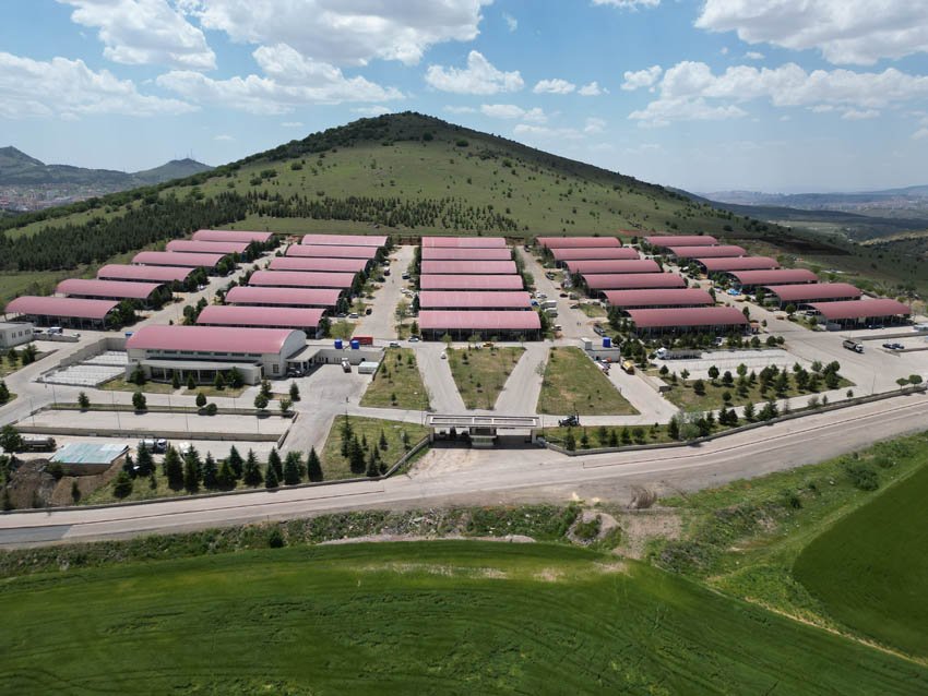 Altındağ’da kurban kesim yerleri belli oldu Altındağ'da kurban kesim yerleri belirlendi. Altındağ'da bu yıl Tatlar Mahallesi'nde