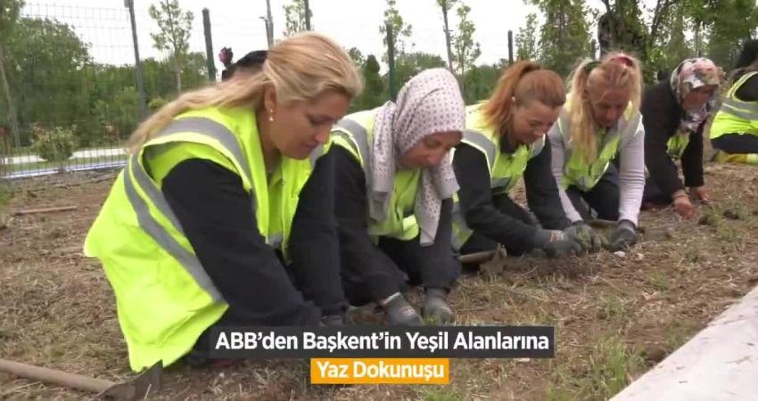 Ankara Büyükşehir Belediyesi’nden Başkent’in yeşil alanlarına yaz dokunuşu Ankara Büyükşehir Belediyesi, yaz mevsiminin yaklaşmasıyla Başkent genelindeki park ve