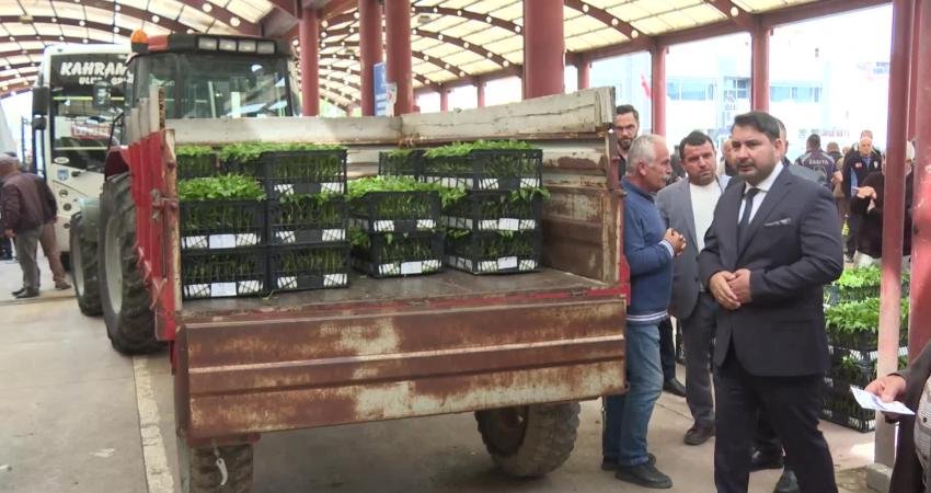 Ankara Büyükşehir Belediyesi’nin yüzde 50 hibeli sebze fidesi desteği üreticinin