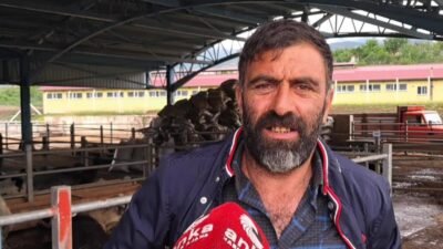 Artvin'in Ardanuç ilçesine bağlı Harmanlı Köyü’ndeki hayvan pazarında kurbanlık satışı