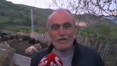 Artvin'de büyükbaş ve küçükbaş hayvan varlığının, besicilikteki maliyetlerindeki artışla birlikte