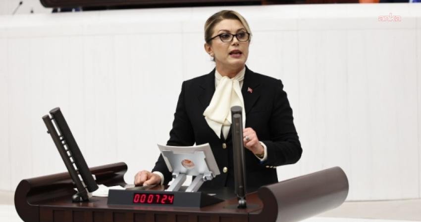 CHP Kadın Kolları Genel Başkanı Asu Kaya, 2023 seçimleri öncesinde