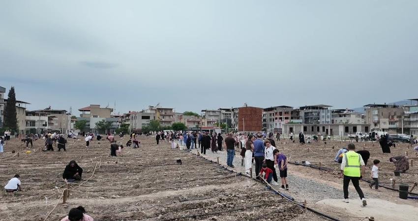 Bornova Belediyesi’nin Doğanlar ve Evka-4 kent bostanlarında kadın üreticiler yazlık