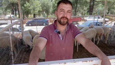 Aydın’da 28 yaşındaki besici: “Pazar yerinde, benim yaşlarımda üretici ancak 10 kişi çıkar” Aydın’ın Karacasu ilçesi Dereköy Mahallesi’nde besicilik yapan 28 yaşındaki üniversite