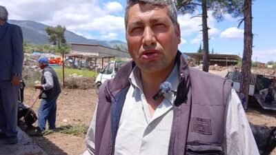 Aydınlı hayvan besicisi: “100 kilo hayvan 32 bin lira, bir çuval yem 1000 lira” Kurban Bayramı öncesinde Aydın’ın Karacasu ilçesindeki kurban pazarında ne alıcının
