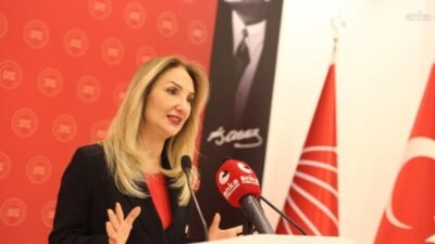 CHP Aile ve Sosyal Hizmetler Politika Kurulu Başkanı Aylin Nazlıaka,