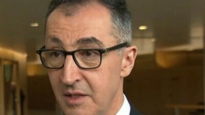 Almanya'nın Baden Würtenberg Eyalet Başbakanı Cem Özdemir, federal hükümetin sürekli