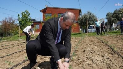 Beylikdüzü Belediyesi’nin “üreten kent” hedefiyle hayata geçirdiği Yaşam Bahçesi’nde yaz