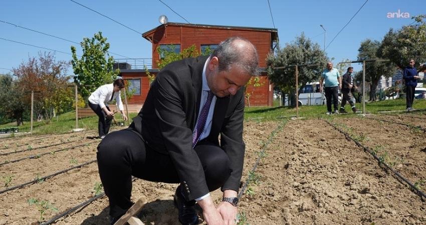Beylikdüzü Belediyesi’nin “üreten kent” hedefiyle hayata geçirdiği Yaşam Bahçesi’nde yaz