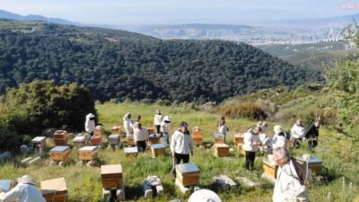 Bornova Belediyesi’nin düzenlediği 10. Arıcılık Kursu, 56 saatlik teorik ve