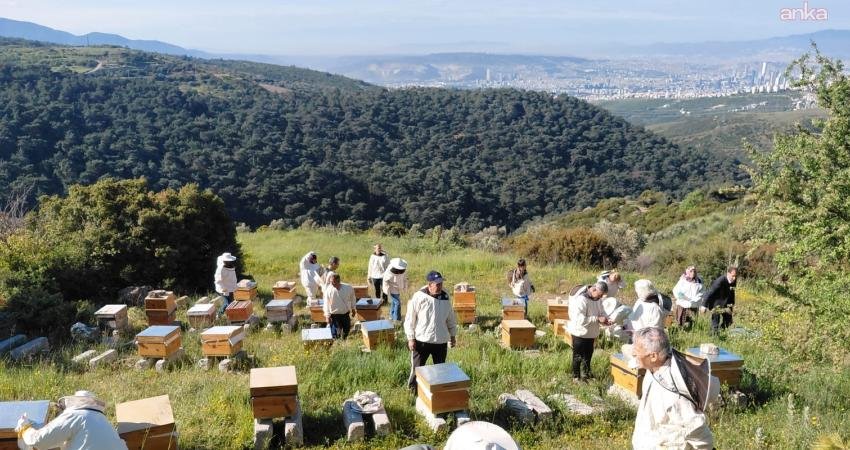 Bornova Belediyesi’nin düzenlediği 10. Arıcılık Kursu, 56 saatlik teorik ve