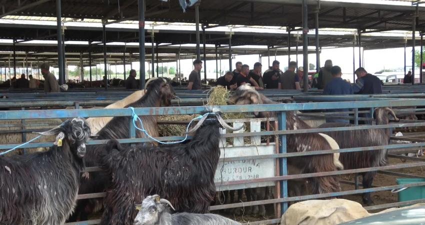 Kurban Bayramı öncesinde Burdur Hayvan Pazarı'nda da beklenen hareketlilik görülmedi.