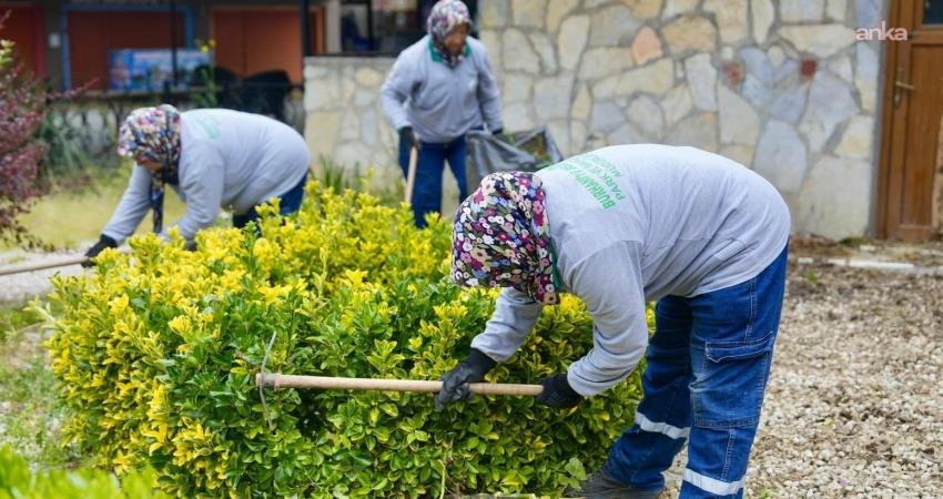 Burhaniye Belediyesi Park ve Bahçeler Müdürlüğü ekipleri, ilçe genelinde park,