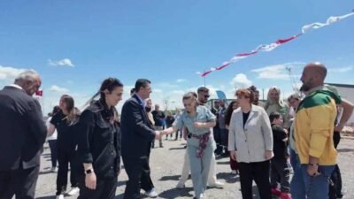 Çekmeköy Belediyesi’nin Ömerli Doğal Yaşam Alanı’nda düzenlediği köpek sahiplendirme etkinliği,