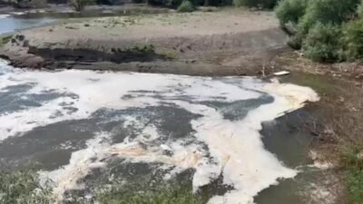 İzmir Büyükşehir Belediye Meclisi Üyesi Erdal Karagöz, Gediz Nehri boyunca