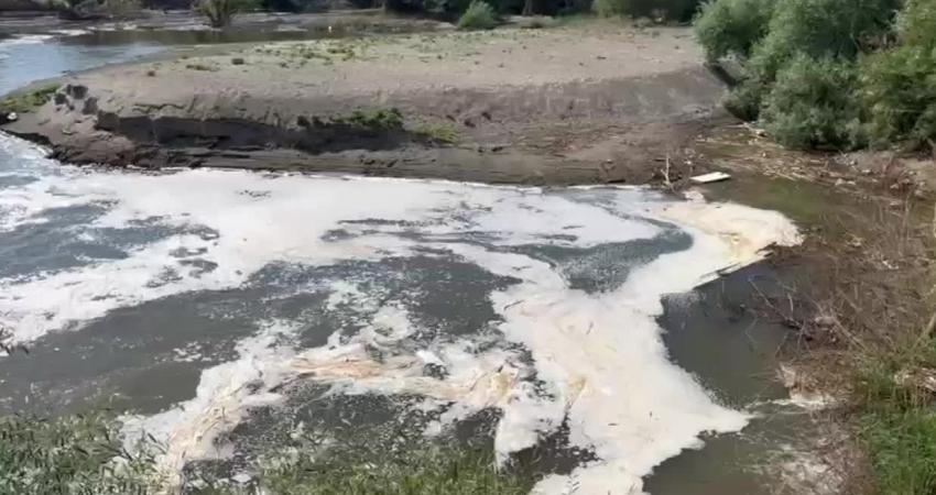İzmir Büyükşehir Belediye Meclisi Üyesi Erdal Karagöz, Gediz Nehri boyunca
