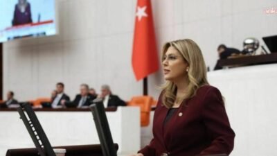 CHP Giresun Milletvekili Elvan Işık Gezmiş, 14 Mayıs Eczacılık Günü