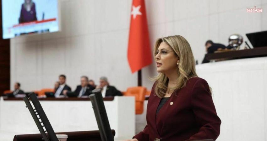 CHP Giresun Milletvekili Elvan Işık Gezmiş, 14 Mayıs Eczacılık Günü