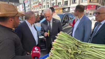 CHP Çanakkale Milletvekili İsmet Güneşhan ve beraberindeki heyet Van'da esnafın