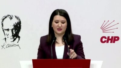 CHP Genel Başkan Yardımcısı Gökçe Gökçen, partisinin Nisan 2026 İfade