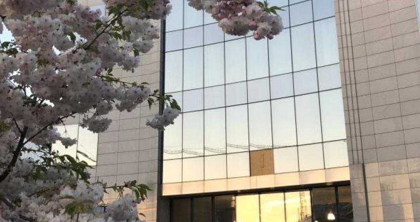 Avrupa Birliği Dış İlişkiler Servisi (EEAS), CHP’nin 38. Kurultayı’nın iptal