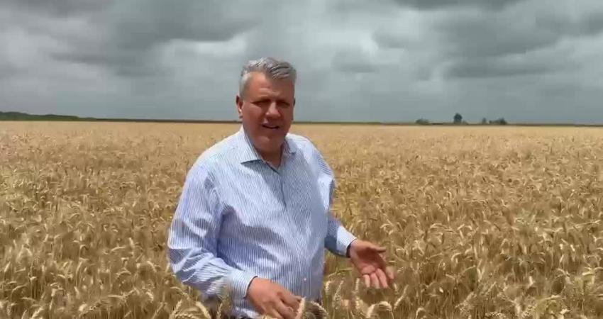 CHP Adana Milletvekili Ayhan Barut, haziran ayı başında açıklanması beklenen