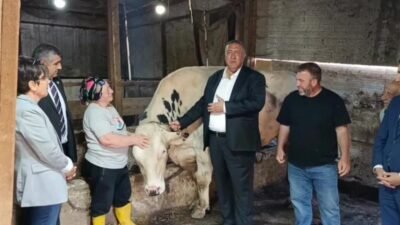 CHP Niğde Milletvekili Ömer Fethi Gürer, Sarıyer Demirciköy’de, hayvancılık işletmelerini ziyaret