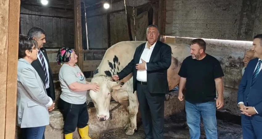 CHP Niğde Milletvekili Ömer Fethi Gürer, Sarıyer Demirciköy’de, hayvancılık işletmelerini ziyaret
