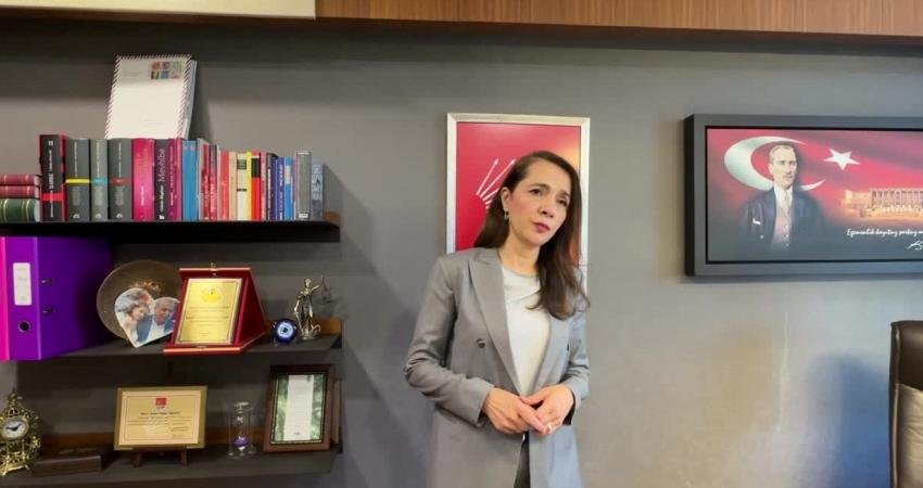 CHP İstanbul Milletvekili Gamze Akkuş İlgezdi hükümetin nüfus politikalarına ilişkin, "Çocuğun