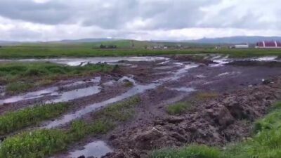 CHP Genel Başkan Yardımcısı Ulaş Karasu, Şarkışla’daki biyogaz tesisinin atıklarını