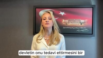 CHP İzmir Milletvekili Seda Kaya Ösen, kültür ve sanatın ulaşılabilir