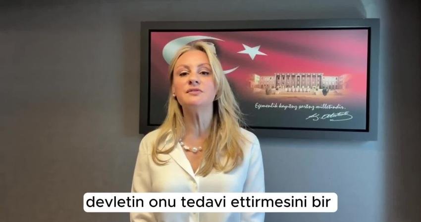 CHP İzmir Milletvekili Seda Kaya Ösen, kültür ve sanatın ulaşılabilir