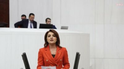 CHP Mersin Milletvekili Gülcan Kış, TBMM Plan ve Bütçe Komisyonu'nda