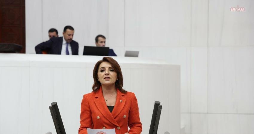 CHP Mersin Milletvekili Gülcan Kış, TBMM Plan ve Bütçe Komisyonu'nda