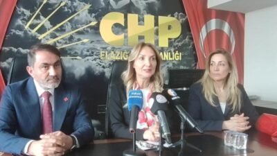 CHP Aile ve Sosyal Hizmetler Politika Kurulu Başkanı Aylin Nazlıaka,