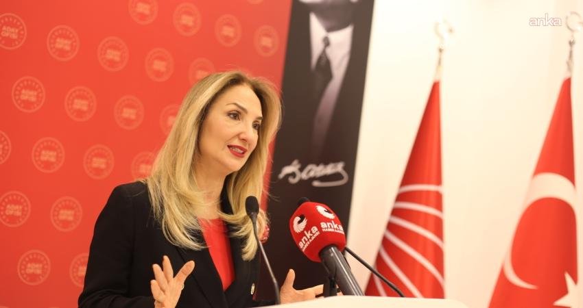 CHP Aile ve Sosyal Politikalar Başkanı Aylin Nazlıaka, "Aile ve
