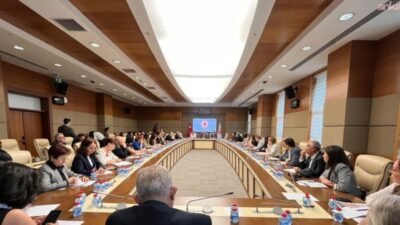CHP Milli Eğitim Politika Kurulu Başkanı Suat Özçağdaş, Milli Eğitim
