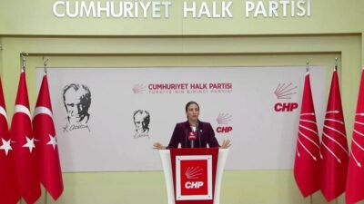 CHP Genel Başkan Yardımcısı Evrim Rızvanoğlu, son yıllarda yanan orman