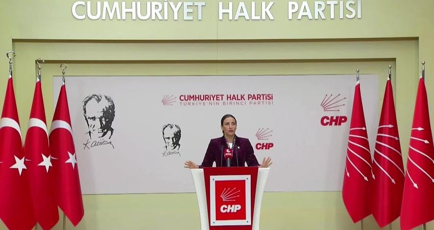 CHP Genel Başkan Yardımcısı Evrim Rızvanoğlu, son yıllarda yanan orman