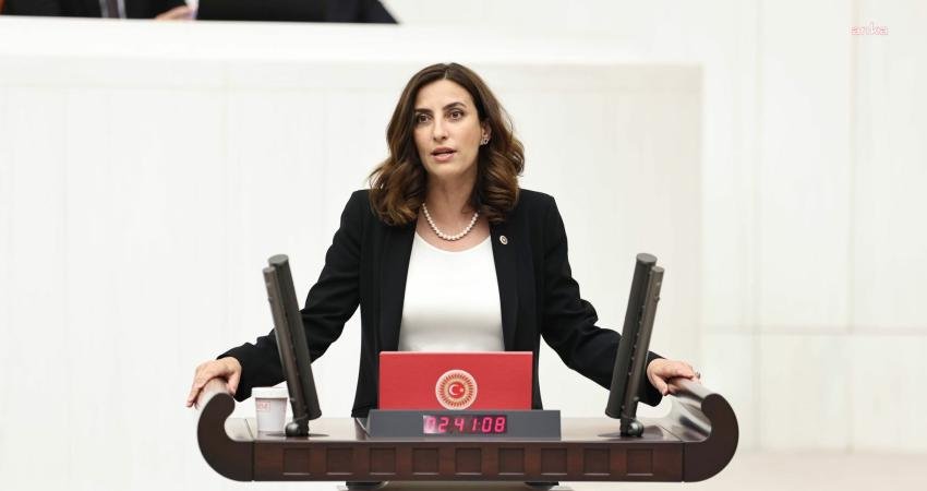 CHP Genel Başkan Yardımcısı Evrim Rızvanoğlu, Meclis Başkanı Numan Kurtulmuş’a