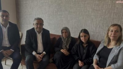 CHP Genel Başkan Yardımcısı ve Diyarbakır Milletvekili Sezgin Tanrıkulu, Anneler Günü dolayısıyla, Rojin