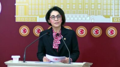 CHP Ankara Milletvekili Aylin Yaman, Sağlık Hizmetleri Lisans Yönetmeliği kapsamında